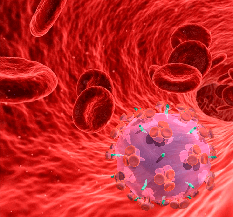 Virus enters blood stream